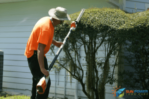  trim bushes and vegetation to prevent mosquitos