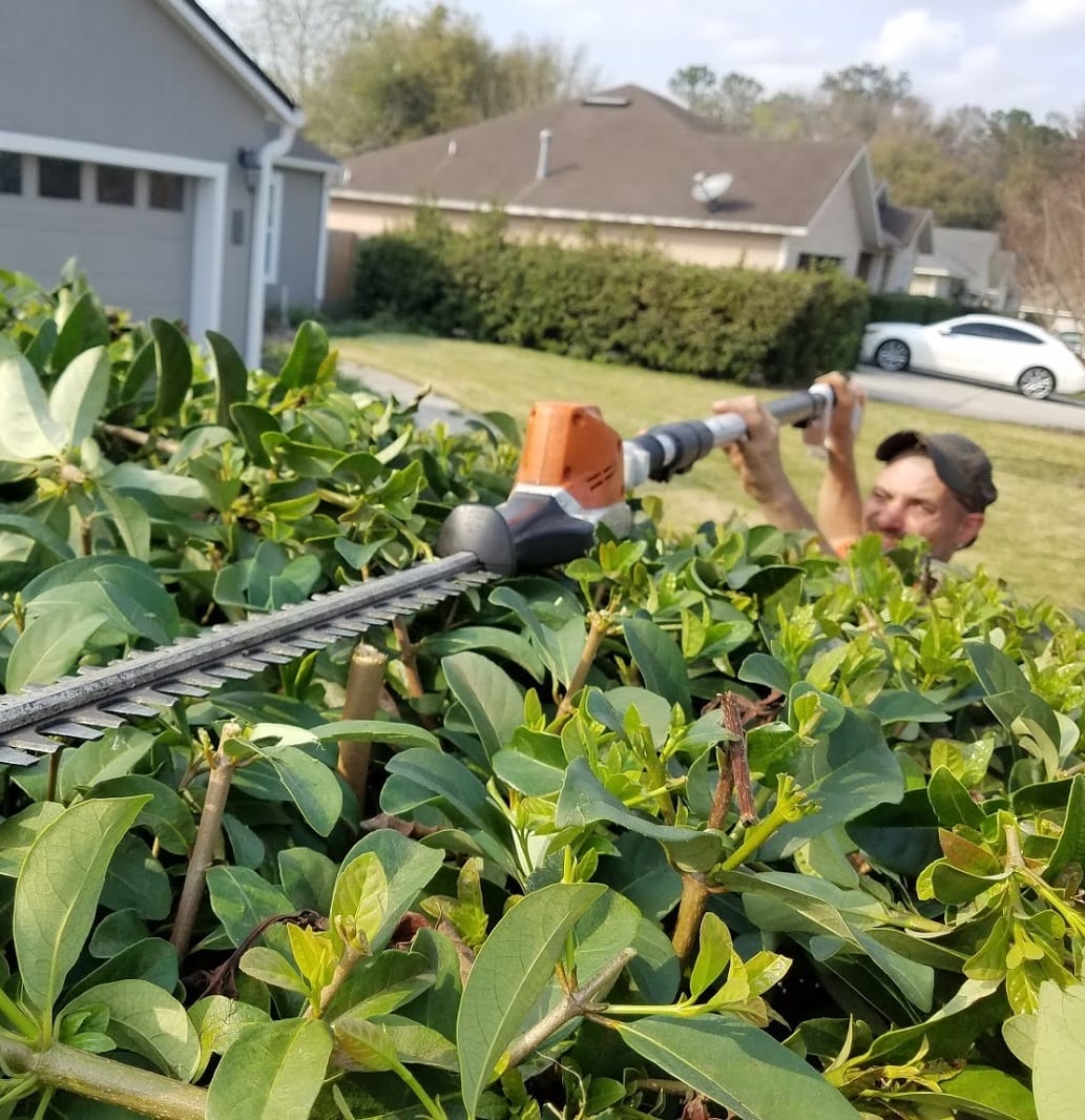 hedge trimming gainesville fl