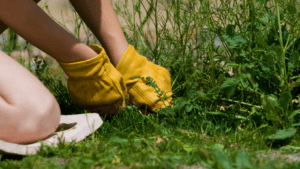 How to prep for spring lawn care