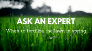 when to fertilize the lawn in north Florida