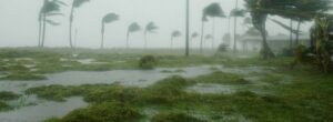 How to prepare your yard for a hurricane