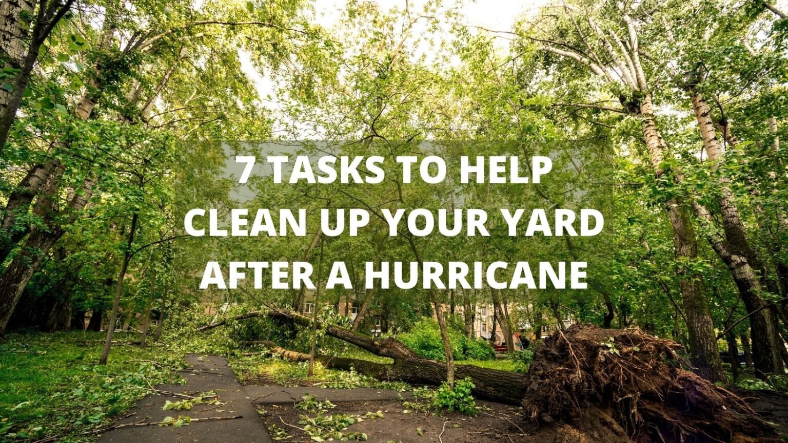 7 Tasks to help clean up your yard after a hurricane