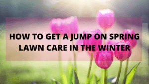 How to get a jump on Spring lawn care in the Winter