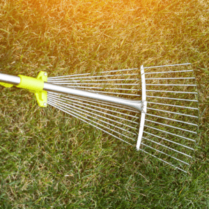 aerate the lawn raking thatch spring lawn care 
