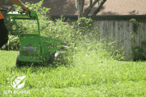 healthy gainesville lawn start by mowing high