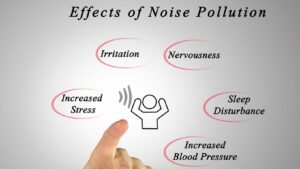 How does noise affect our lives? How do we reduce noise pollution?